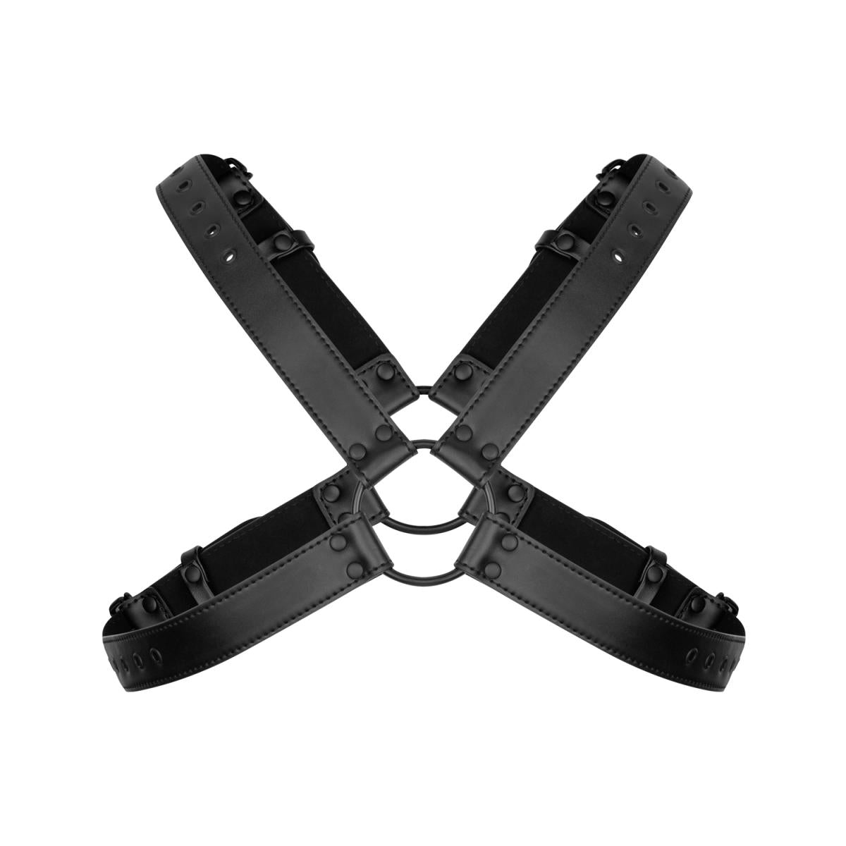 Black Feast Harness